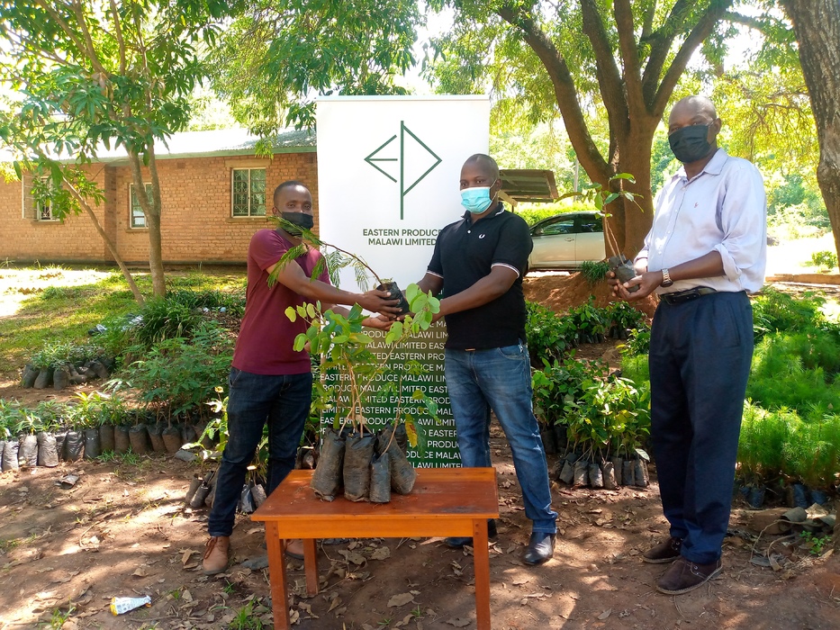 Bandawe Handing Over the Seedlings